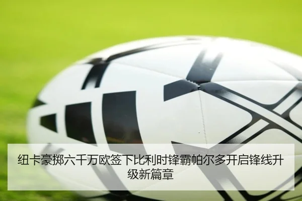 纽卡豪掷六千万欧签下比利时锋霸帕尔多开启锋线升级新篇章