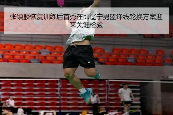 张镇麟恢复训练后首秀在即辽宁男篮锋线轮换方案迎来关键检验